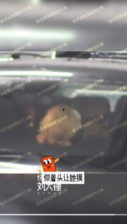 摄影刘大锤今日爆料最新,摄影界最新爆料背后的故事 第3张 摄影刘大锤今日爆料最新,摄影界最新爆料背后的故事 第3张