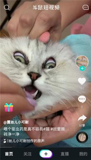 最新爆料老鼠视频下载,最新老鼠视频下载事件引发热议 第1张 最新爆料老鼠视频下载,最新老鼠视频下载事件引发热议 第1张