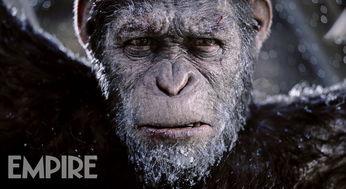 猩猿崛起3在线观看,命运之战在线观影指南:揭秘猿类新纪元的命运抉择 第2张 猩猿崛起3在线观看,命运之战在线观影指南:揭秘猿类新纪元的命运抉择 第2张